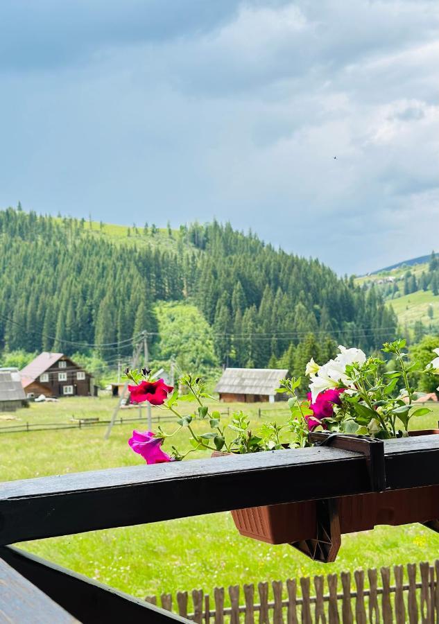 Guest House Lileya Bukovel Exterior photo